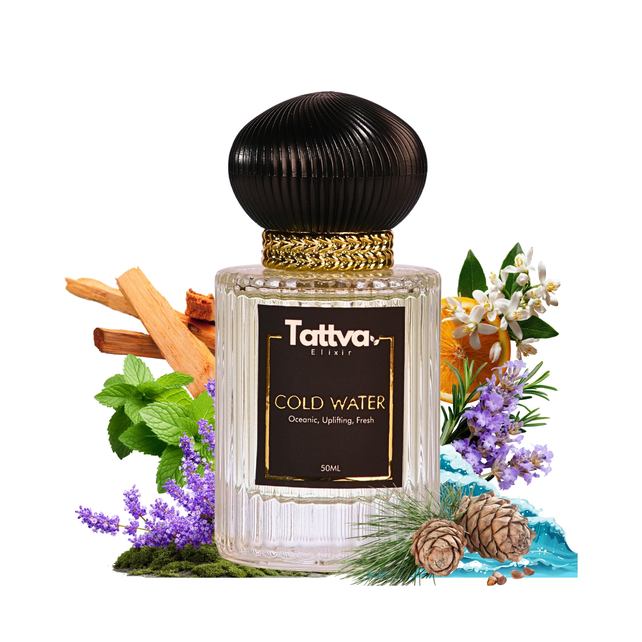 COLD WATER | EAU DE PARFUM | UNISEX